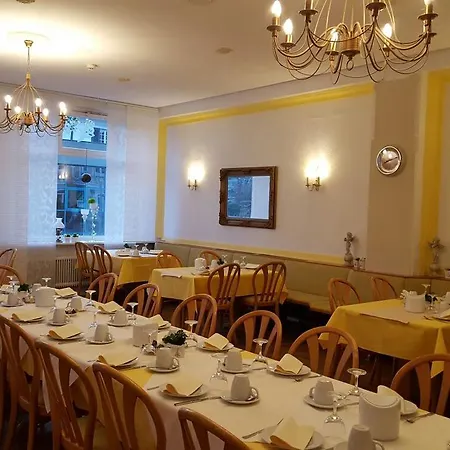 Parkhotel & Kurcafe Hotel 3*